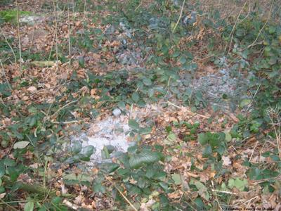 Altölensorgung Im Hofe 3