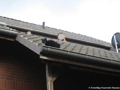 tierettung-ruschendorferstr-020408-01