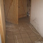 kellerauspumpen-steinfelder-str-251208-003