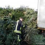 Tannenbaumaktion 2012 16
