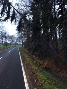 TH Baum auf Fahrbahn Hufeisenstr. Rottinghausen 09.01.15